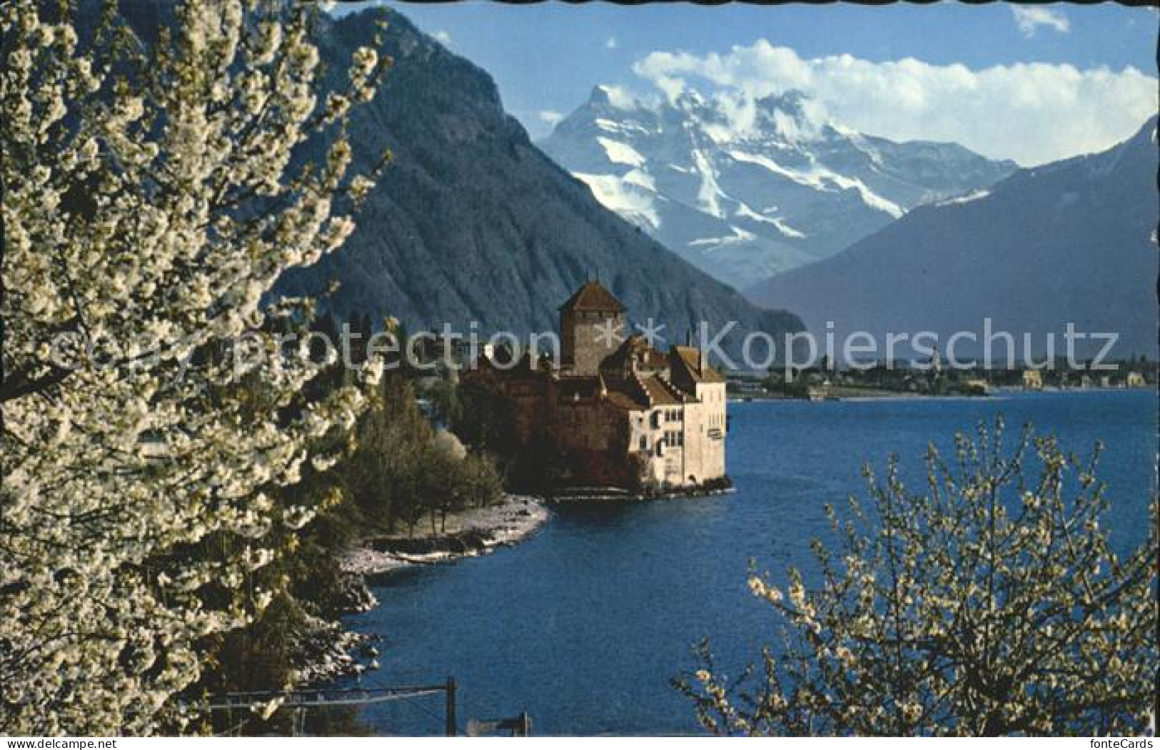 12304004 Lac Leman Genfersee Chateau De Chillon Et Dents Du Midi Genf - Sonstige & Ohne Zuordnung