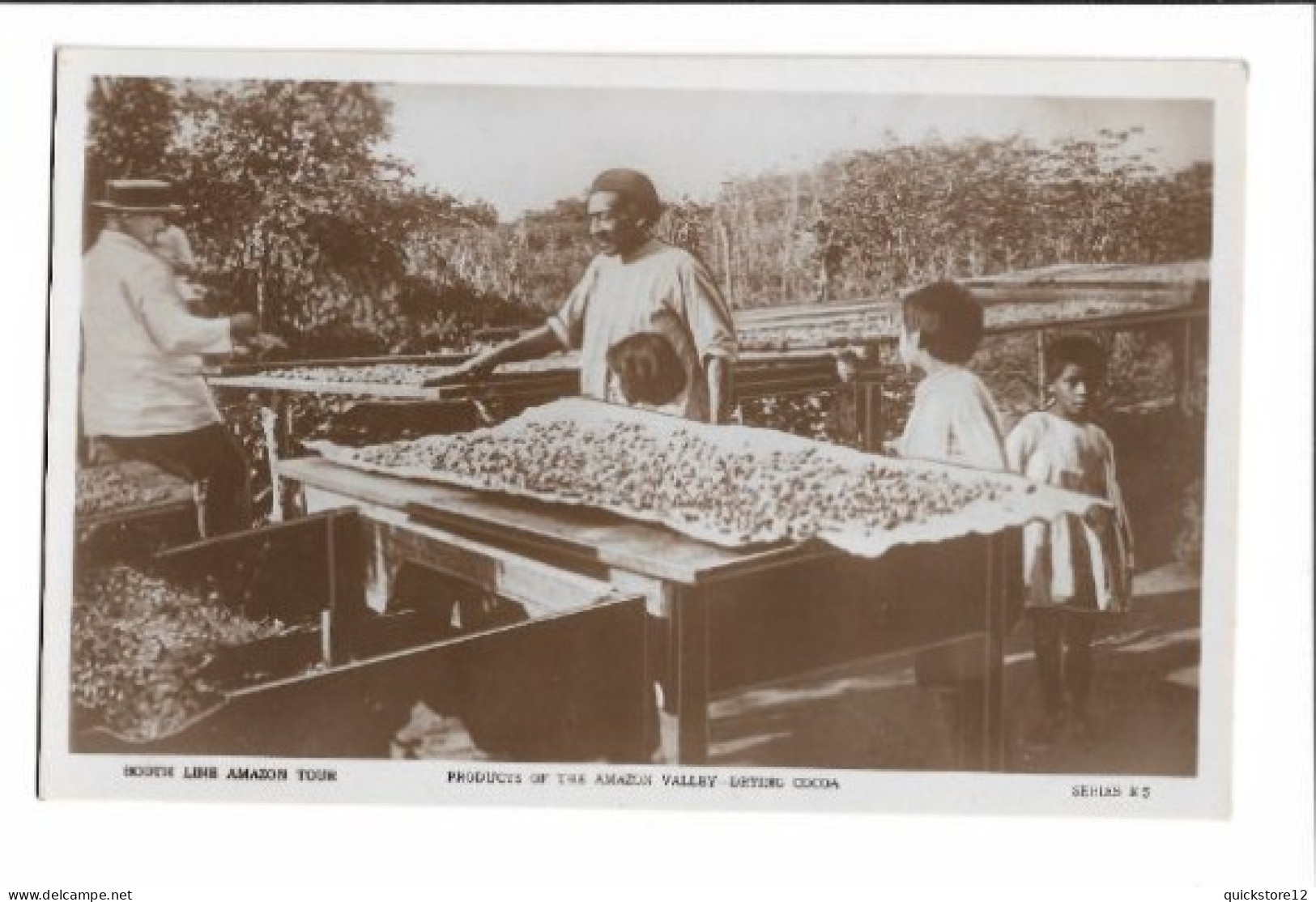 Products Of The Amazon Valley - Drying Cocoa  - 7011 - Non Classés