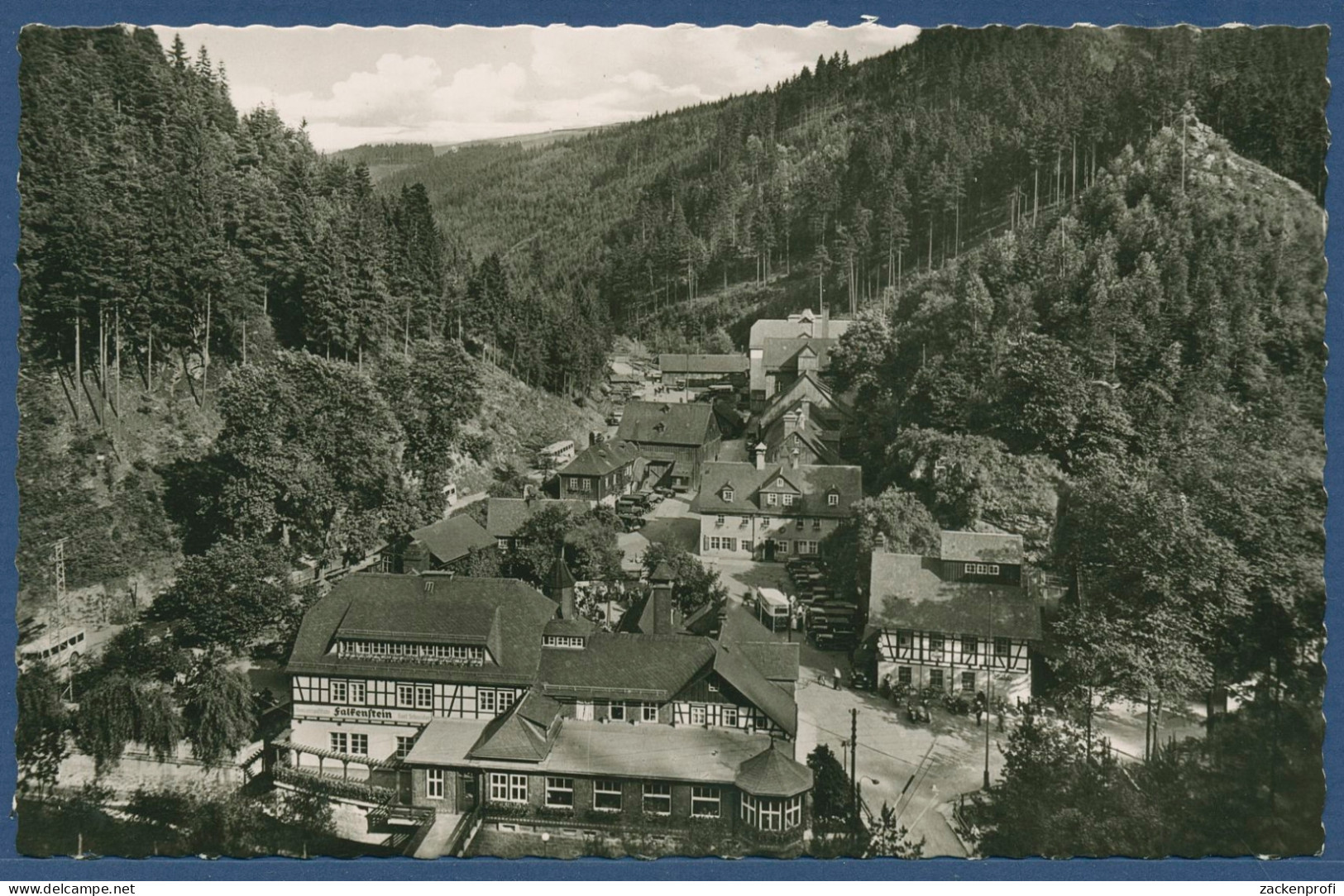 Brauerei-Gaststätte Falkenstein Ludwigsstadt, Gelaufen 1966 (AK3439) - Kronach