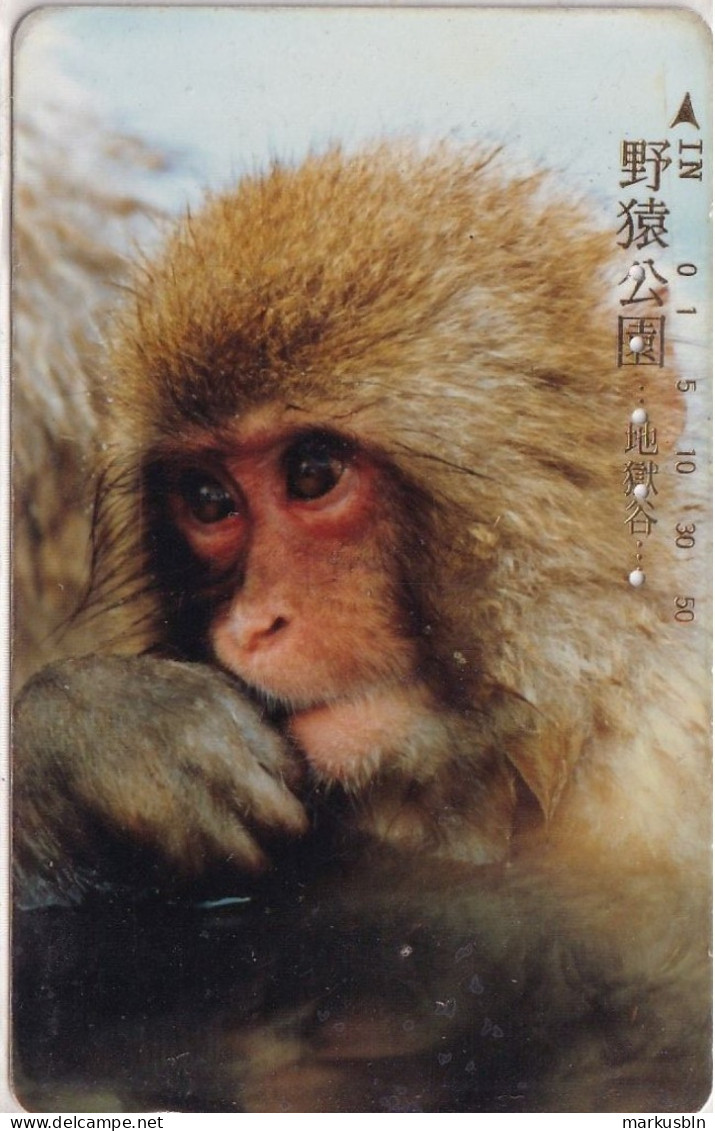 Japan Tamura 50u Old Private 110 - 011 Monkey Gold Writing Wild Monkey Park - Japón