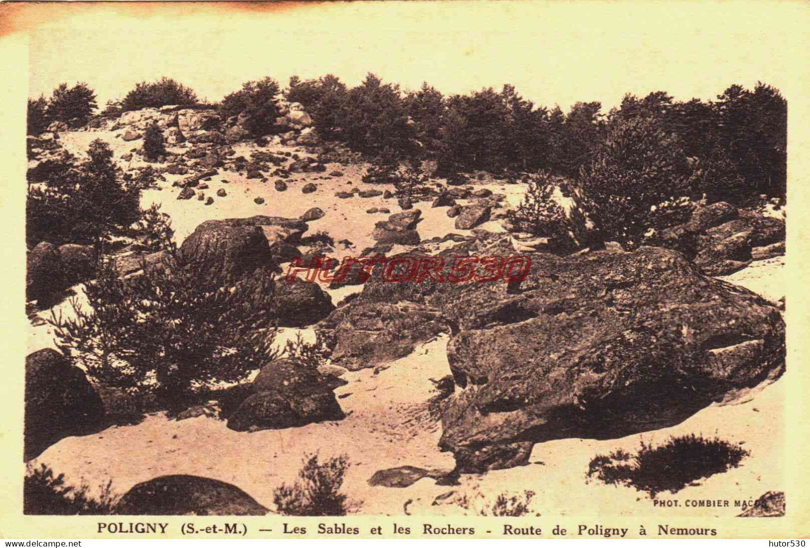 CPA POLIGNY - SEINE ET MARNE - LES SABLES ET LES ROCHERS - Poligny