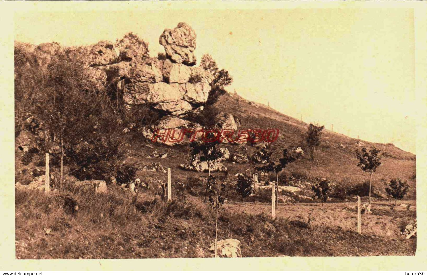 CPA SOUPPES SUR LOING - SEINE ET MARNE - LE COQUELUCHON - Souppes Sur Loing