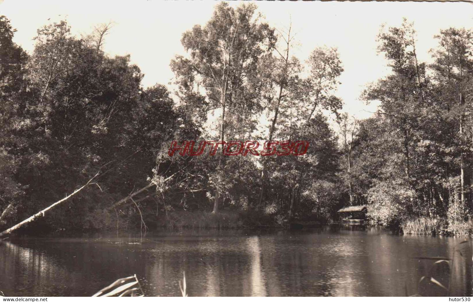 CPSM EPAGNY - SOMME - L'ETANG DES ROSEAUX - Otros & Sin Clasificación