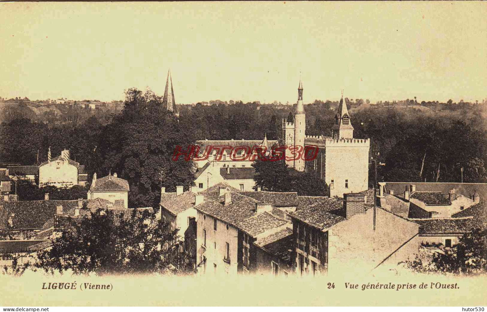 CPA LIGUGE - VIENNE - VUE GENERALE - Sonstige & Ohne Zuordnung