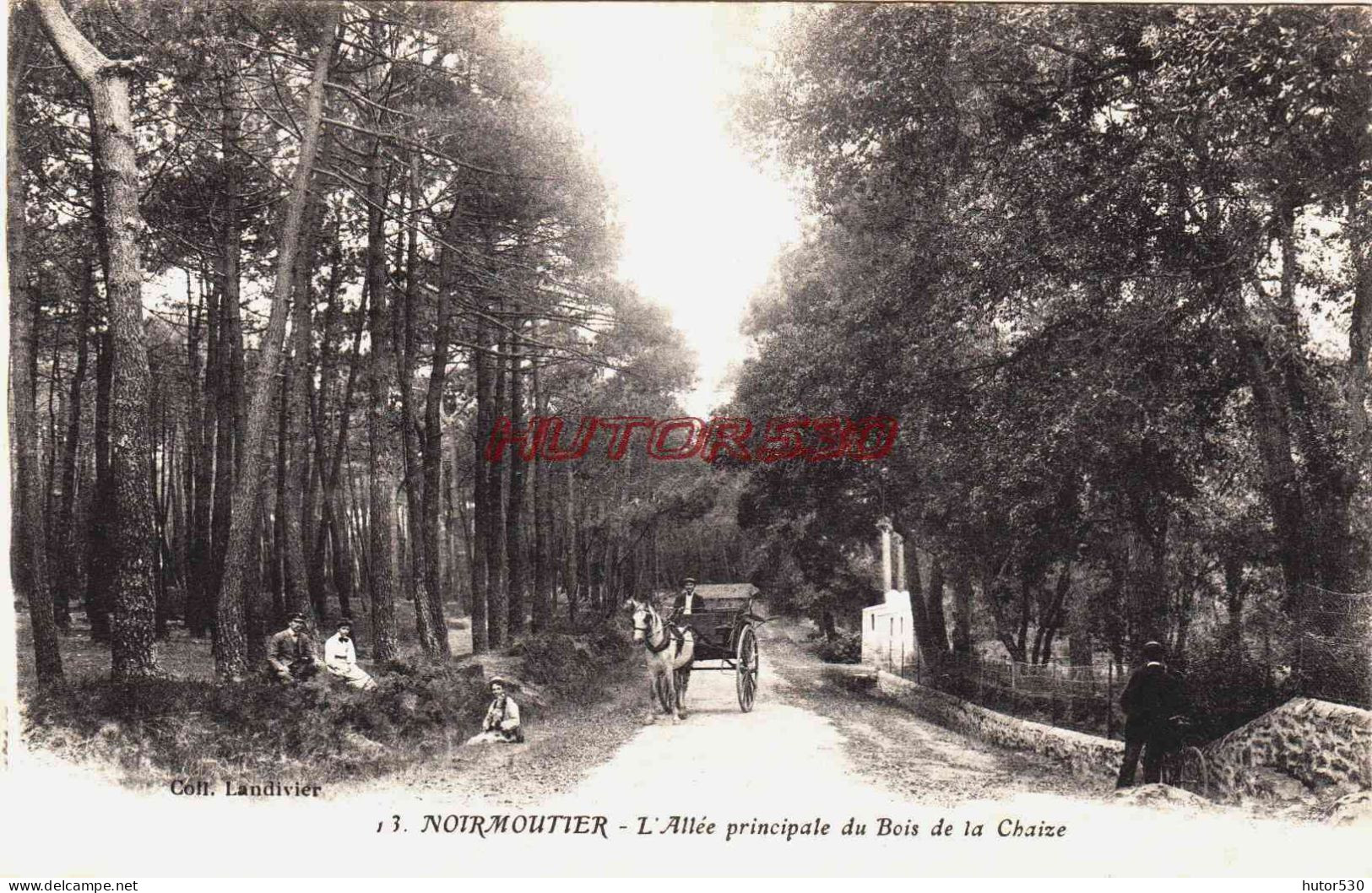 CPA NOIRMOUTIER - VENDEE - ALLEE DU BOIS DE LA CHAISE - Noirmoutier