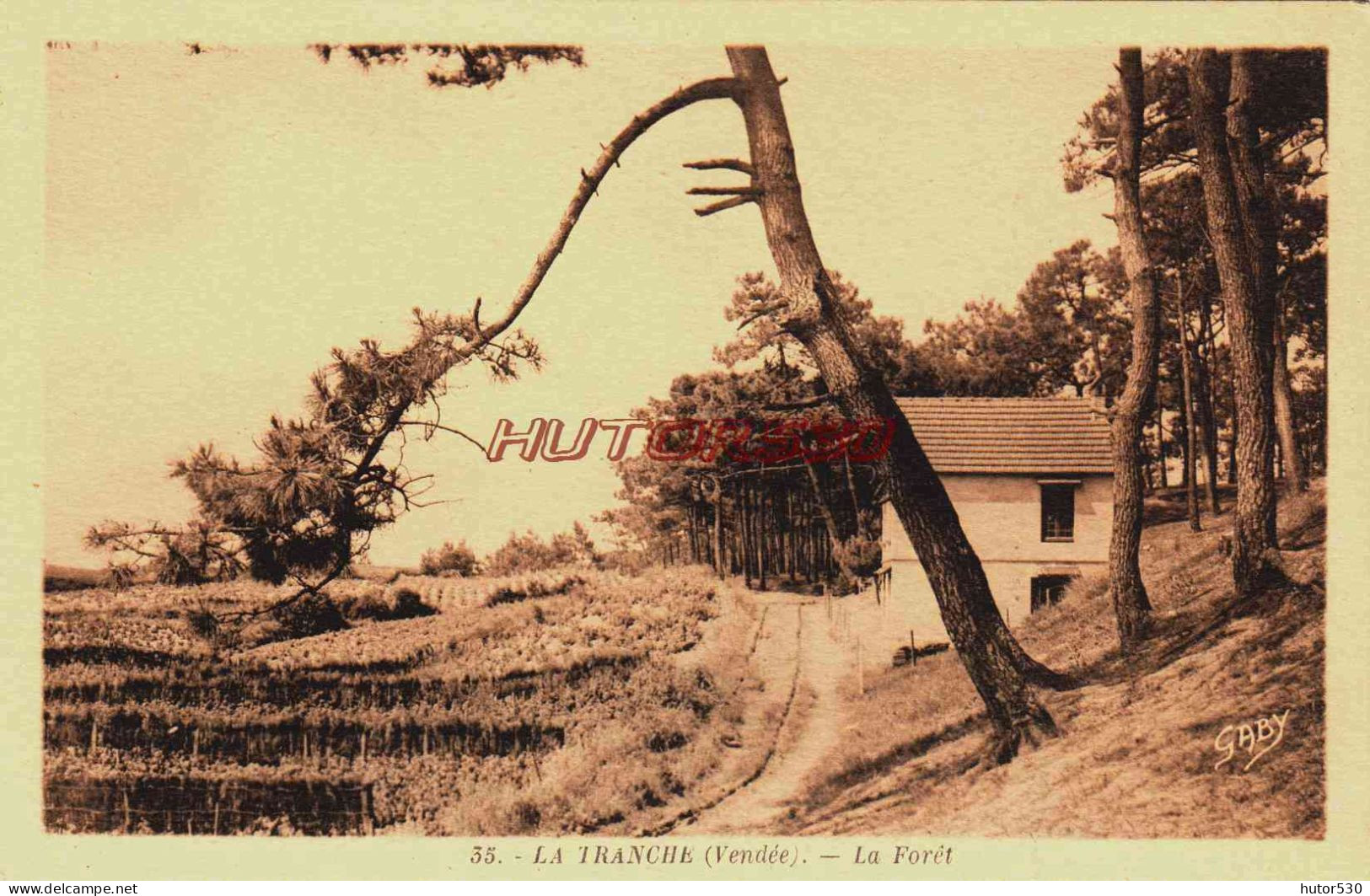 CPA LA TRANCHE - VENDEE - LA FORET - La Tranche Sur Mer