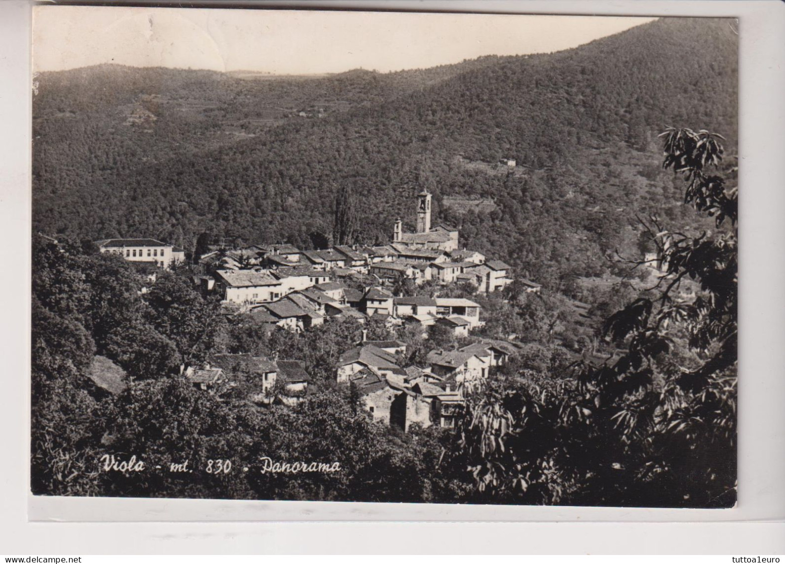 VIOLA CUNEO  PANORAMA  VG - Cuneo