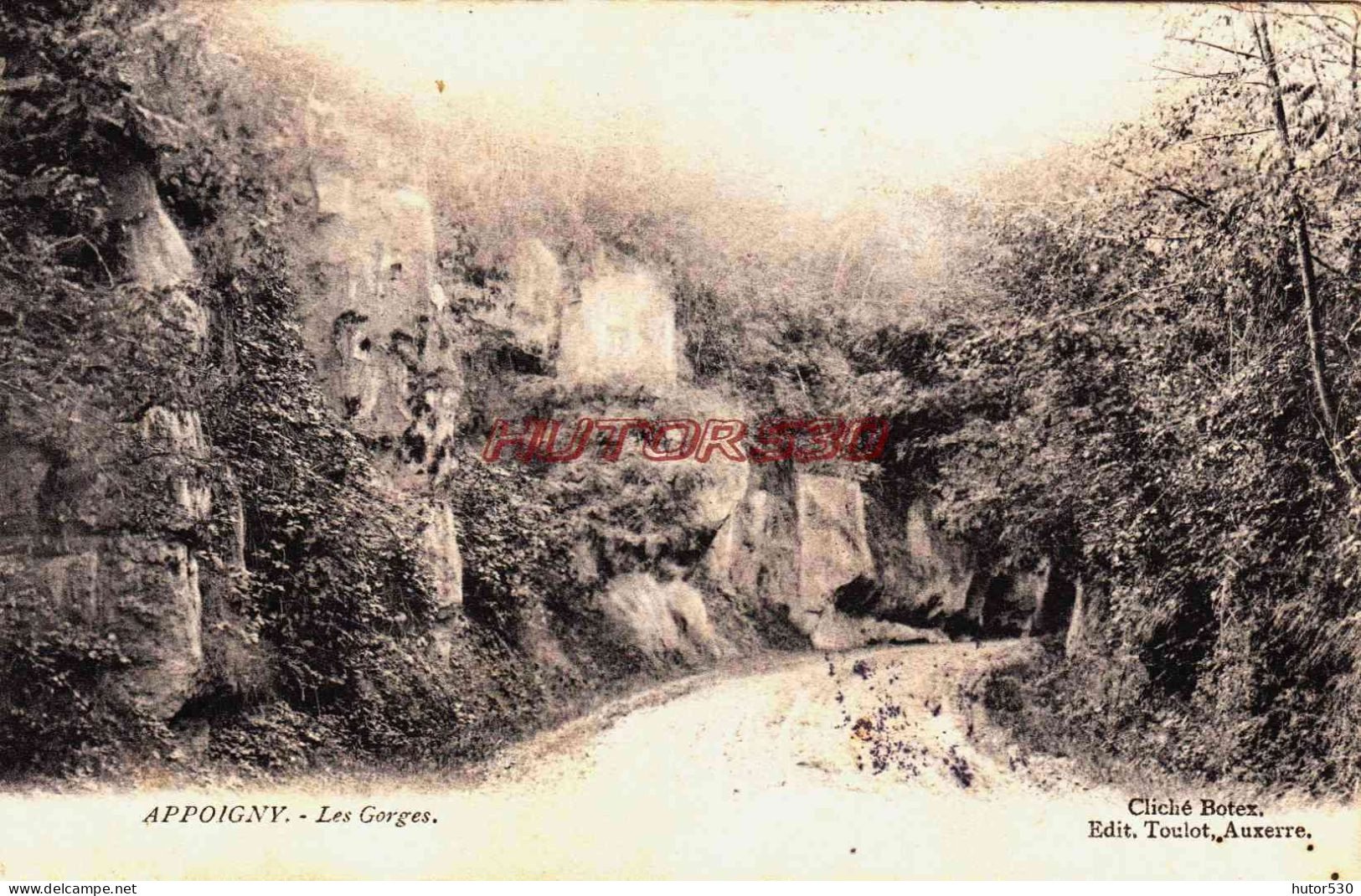 CPA APPOIGNY - YONNE - LES GORGES - Appoigny