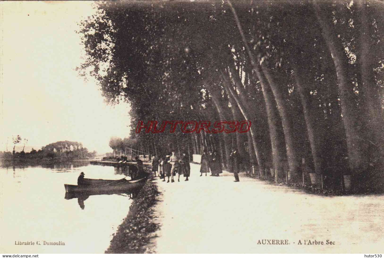 CPA AUXERRE - YONNE - L'ARBRE SEC - Auxerre