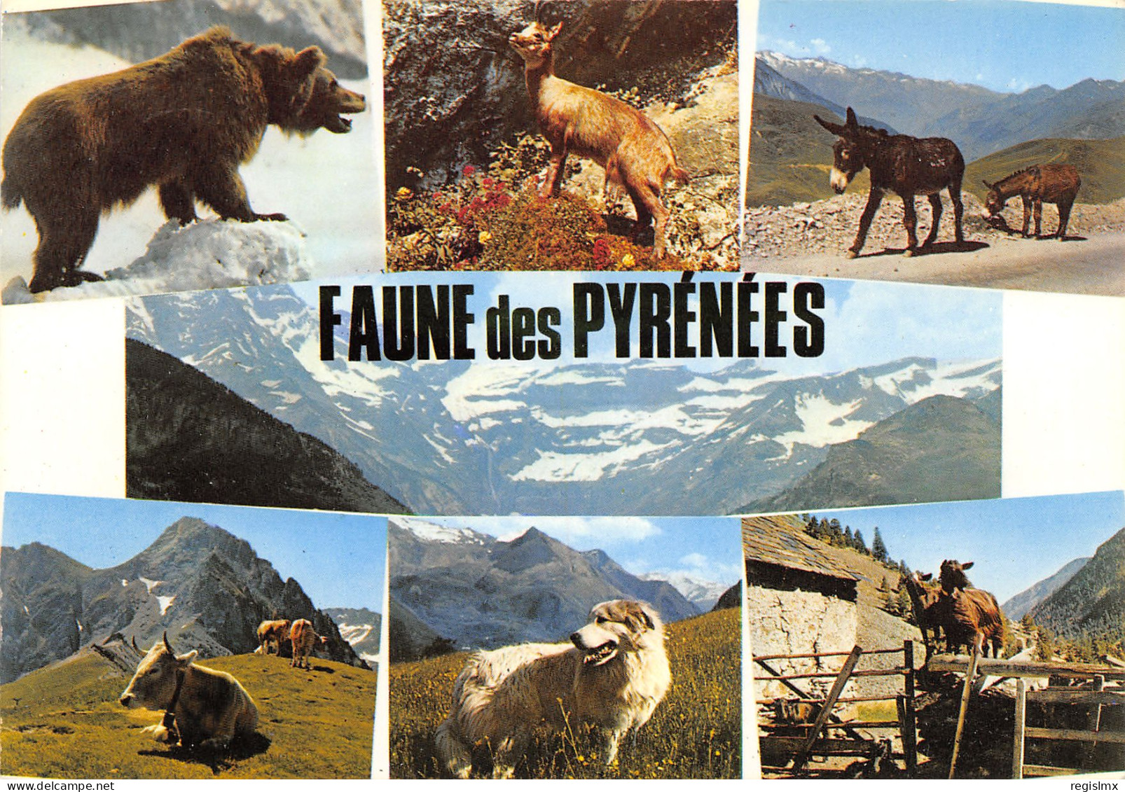 64-ANIMAUX DES PYRENEES-N°1023-A/0413 - Other & Unclassified