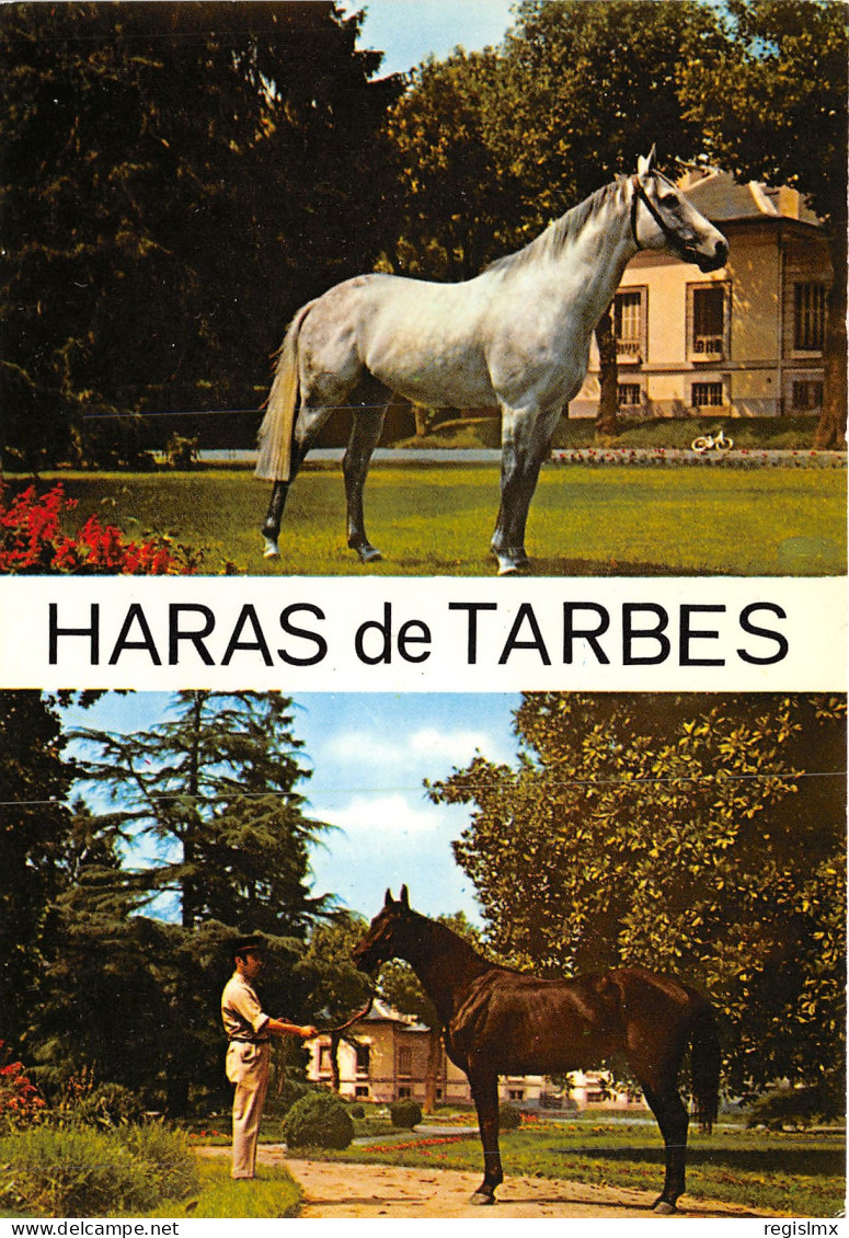 65-TARBES-N°1024-C/0051 - Tarbes