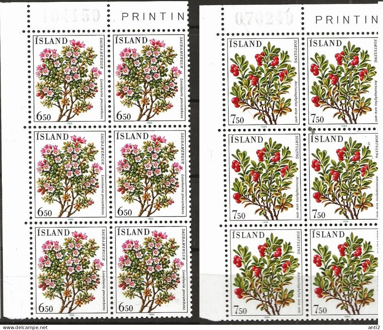 Iceland Island 1984  Flowers (III). Alpine Azalea, Bearberry  Mi 619-620 In Blocs Of Six  MNH(**) - Ungebraucht