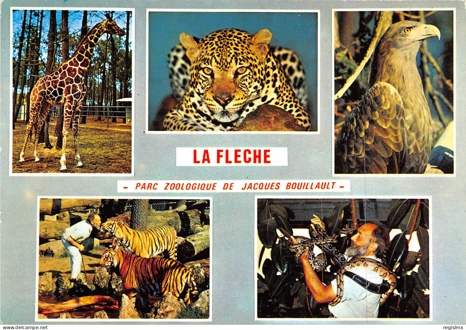 72-LA FLECHE-N°1026-E/0393 - La Fleche