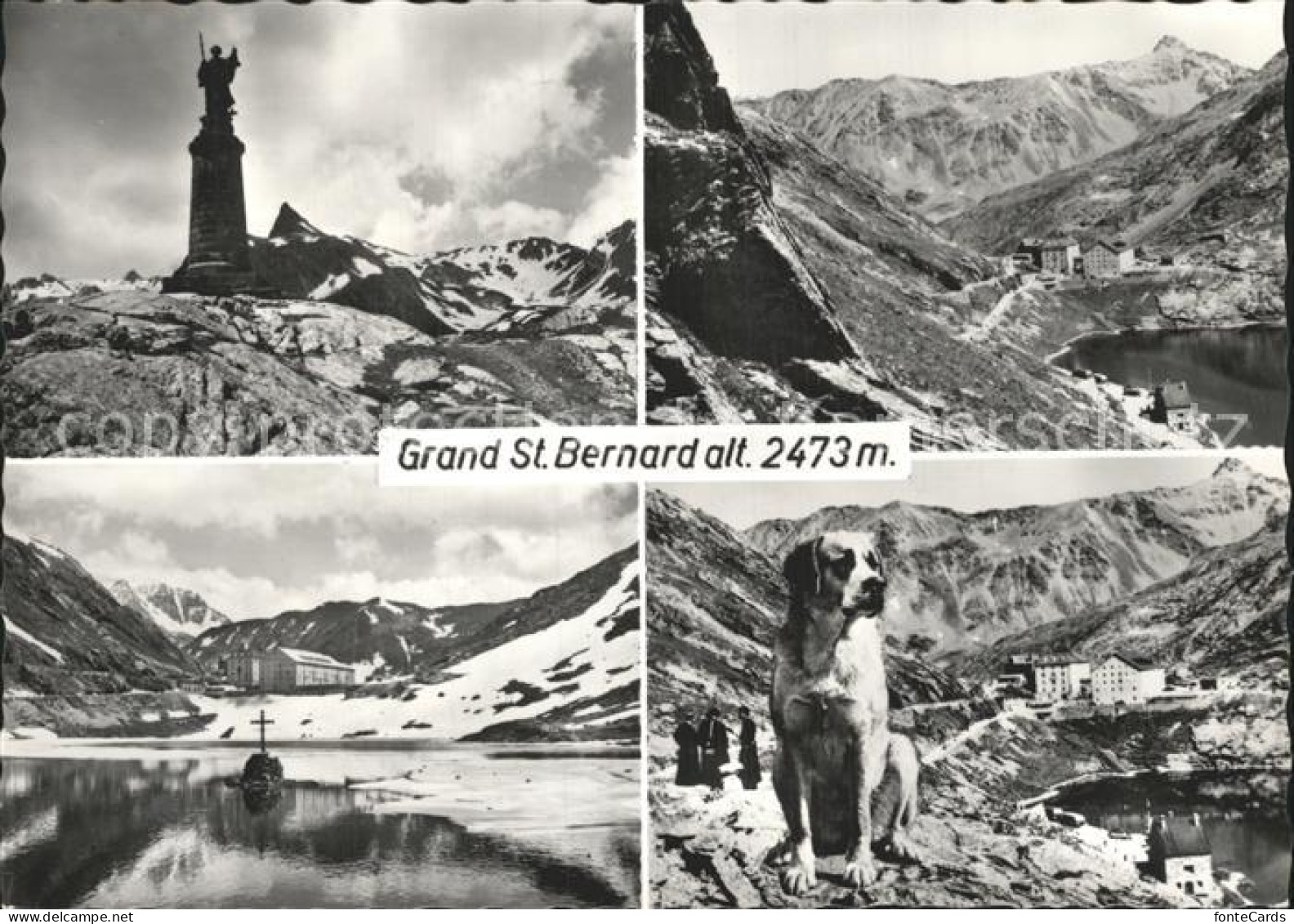 12281610 Grand St Bernard Hund Denkmal Hospiz Bernard, Grand Saint - Other & Unclassified