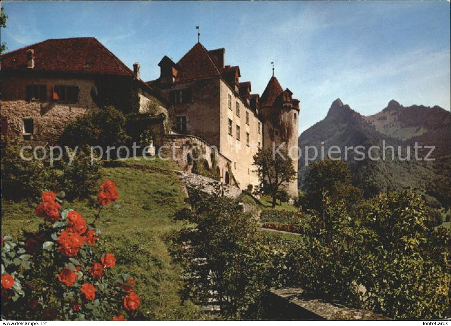 12274601 Gruyeres FR Chateau Dents De Broc Chamois Gruyeres - Sonstige & Ohne Zuordnung