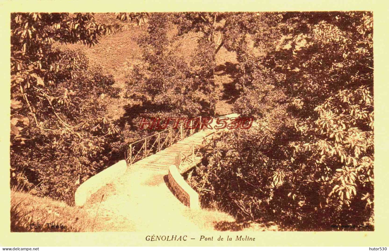 CPA GENOLHAC - GARD - PONT DE LA MOLINE - Autres & Non Classés