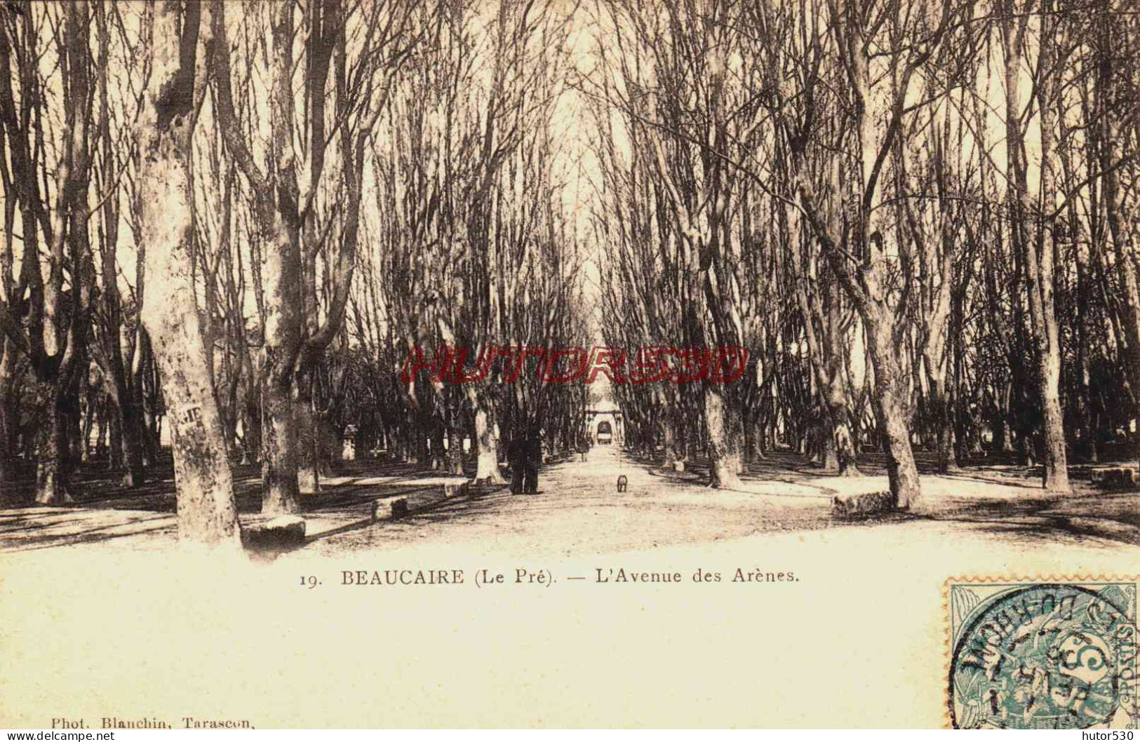 CPA BEAUCAIRE - GARD - AVENUE DES ARENES - Beaucaire