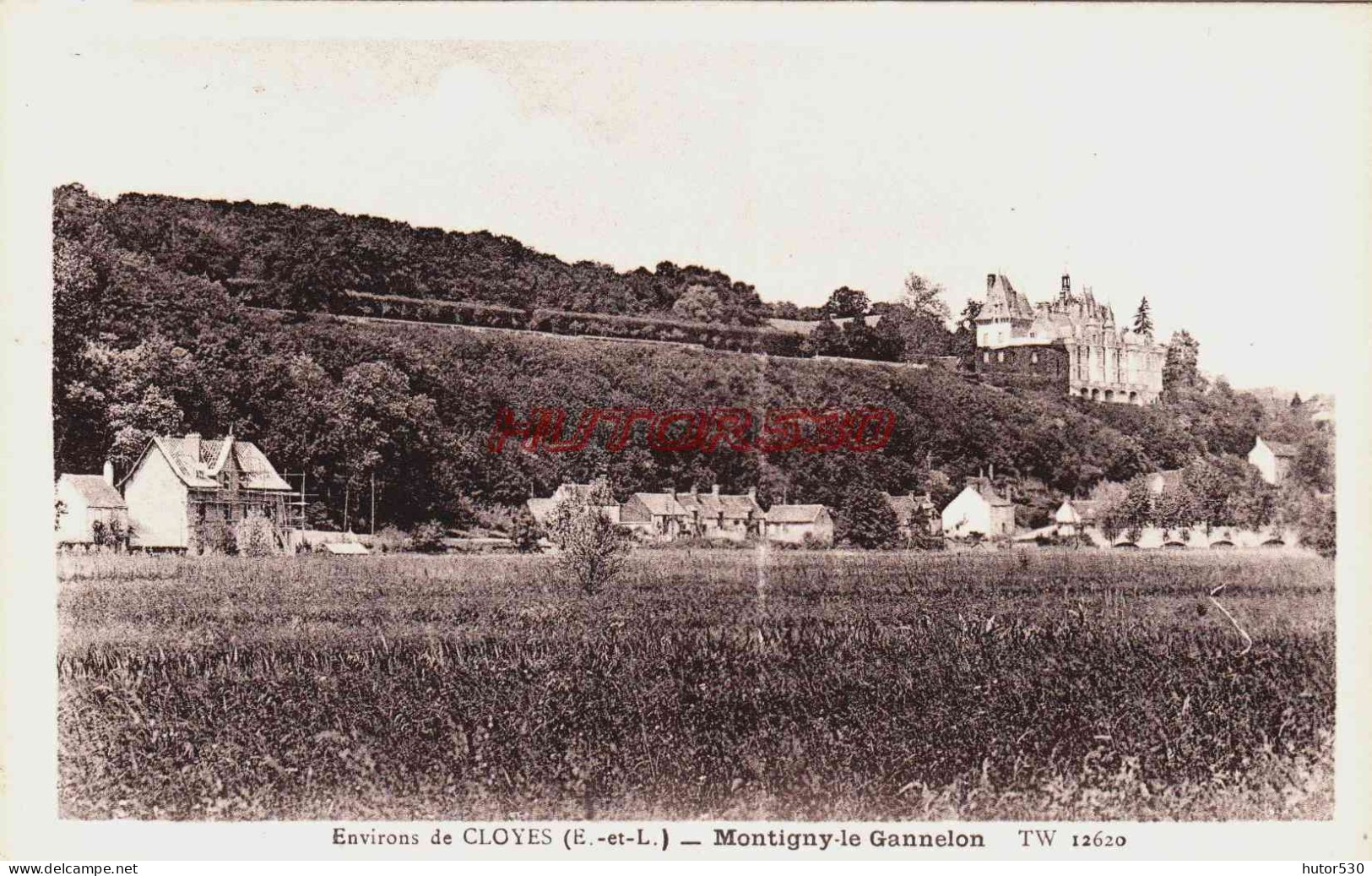 CPA MONTIGNY LE GANNELON - EURE ET LOIR - VUE D'ENSEMBLE - Autres & Non Classés