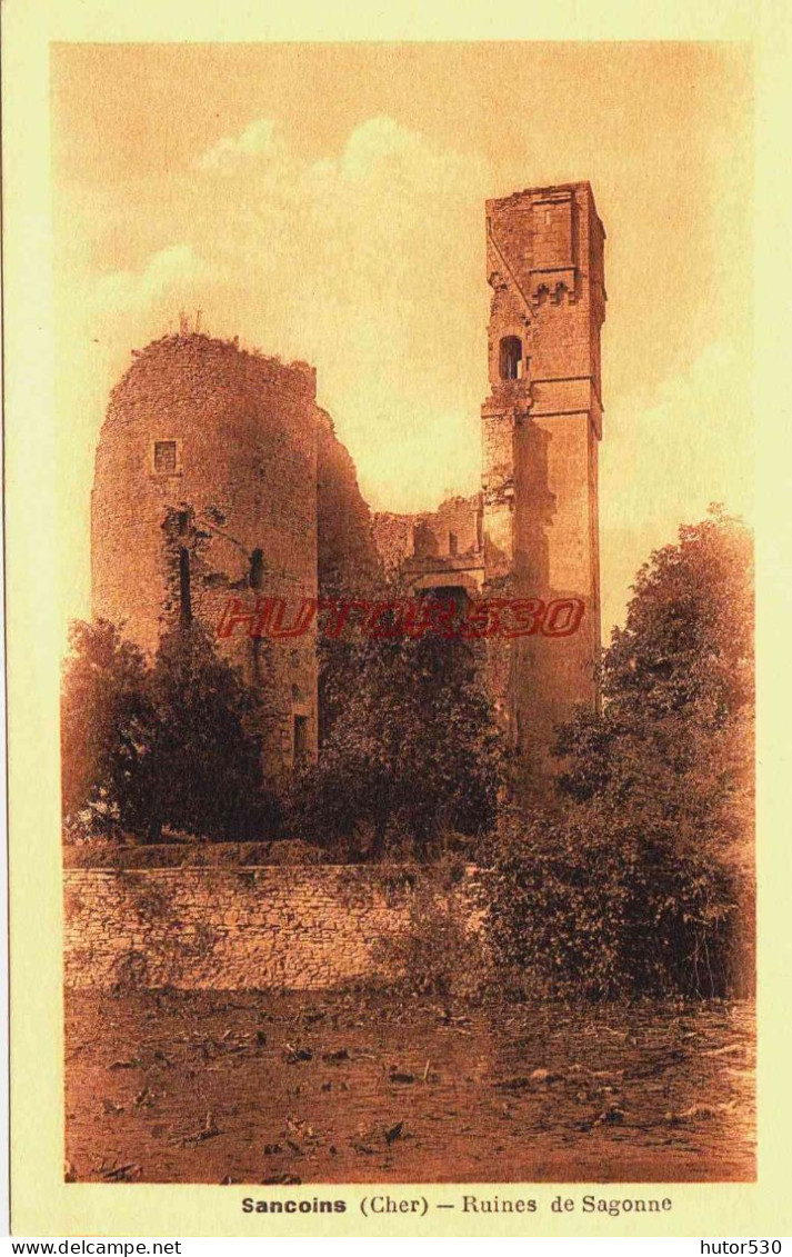 CPA SANCOINS - CHER - RUINES DE SAGONNE - Sancoins