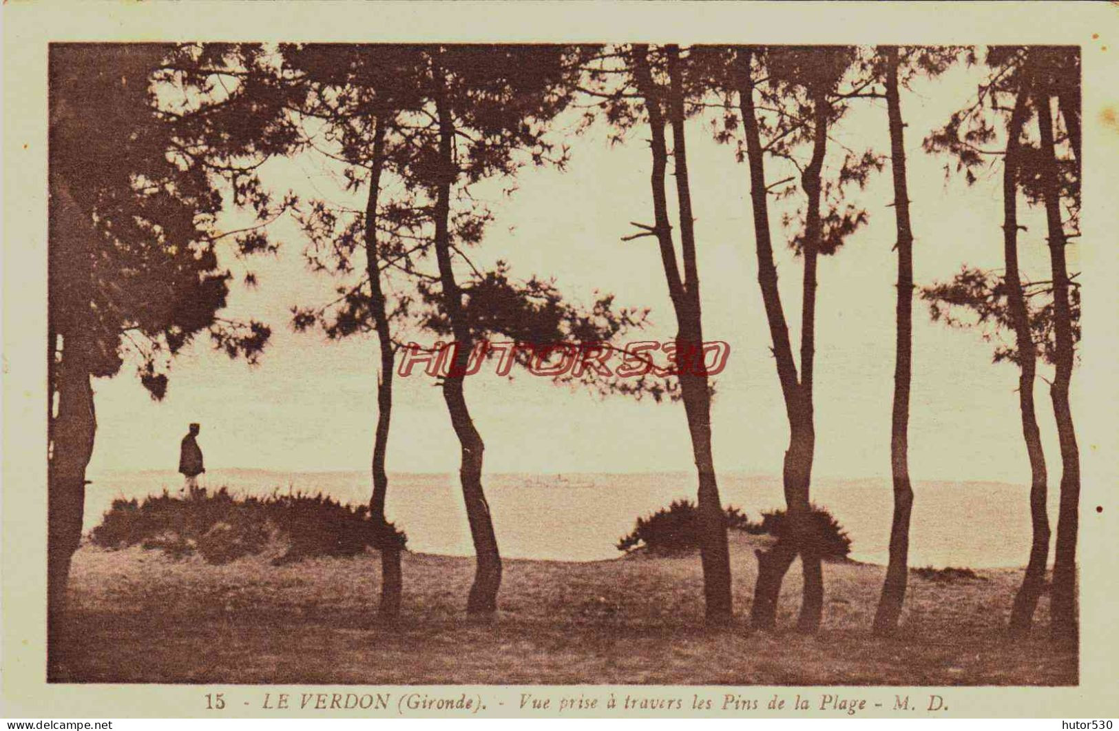 CPA LE VERDON - GIRONDE - A TRAVERS LES PINS DE LA PLAGE - Other & Unclassified