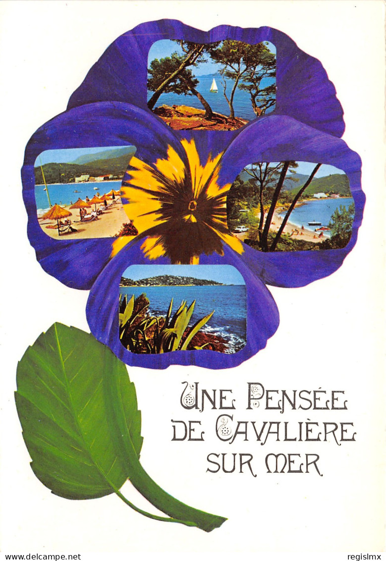 83-CAVALAIRE -N°1031-A/0377 - Cavalaire-sur-Mer