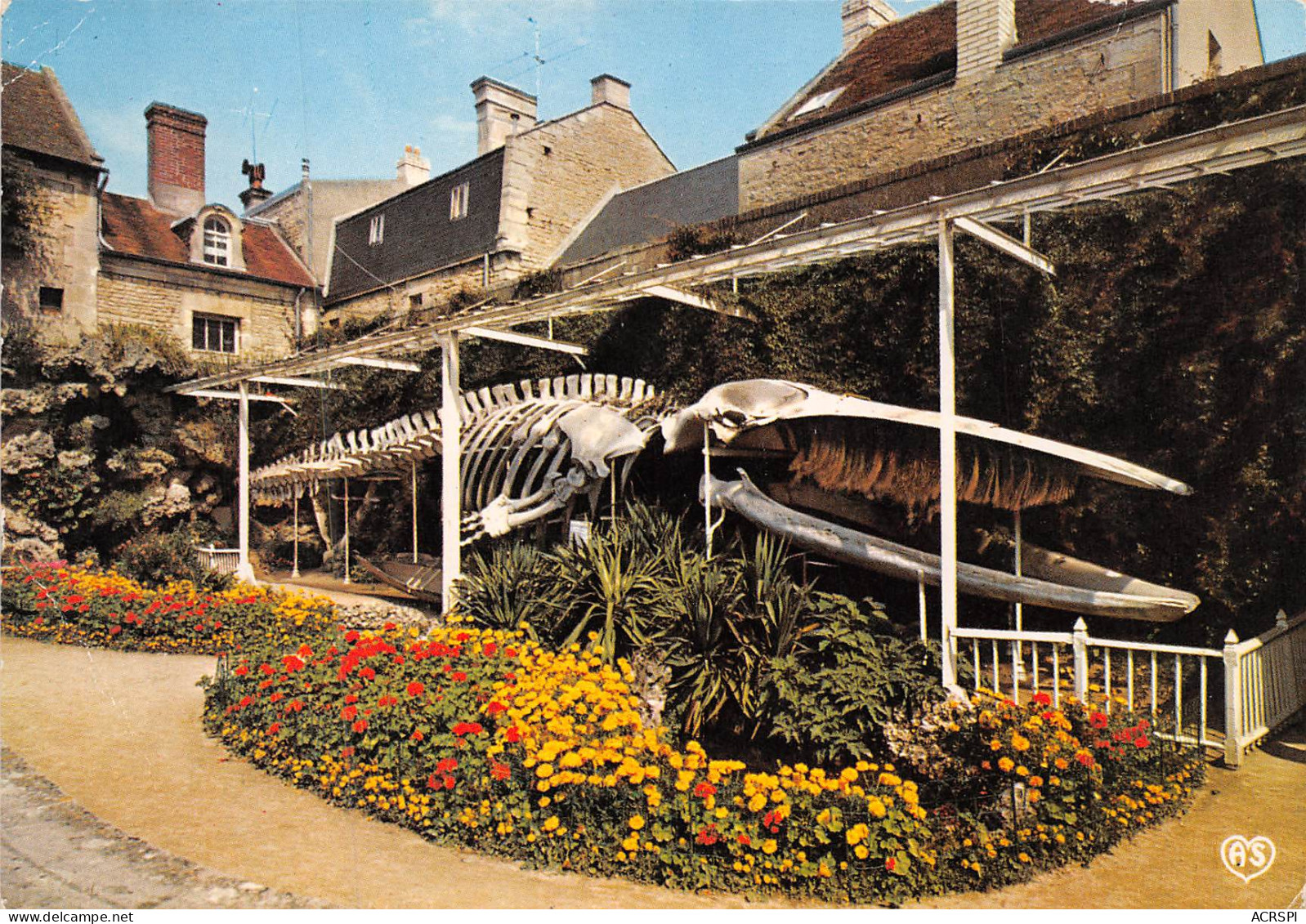 LUC SUR MER Jerdin Municipal Squelette De La Baleine 2(scan Recto-verso) MB2378 - Luc Sur Mer