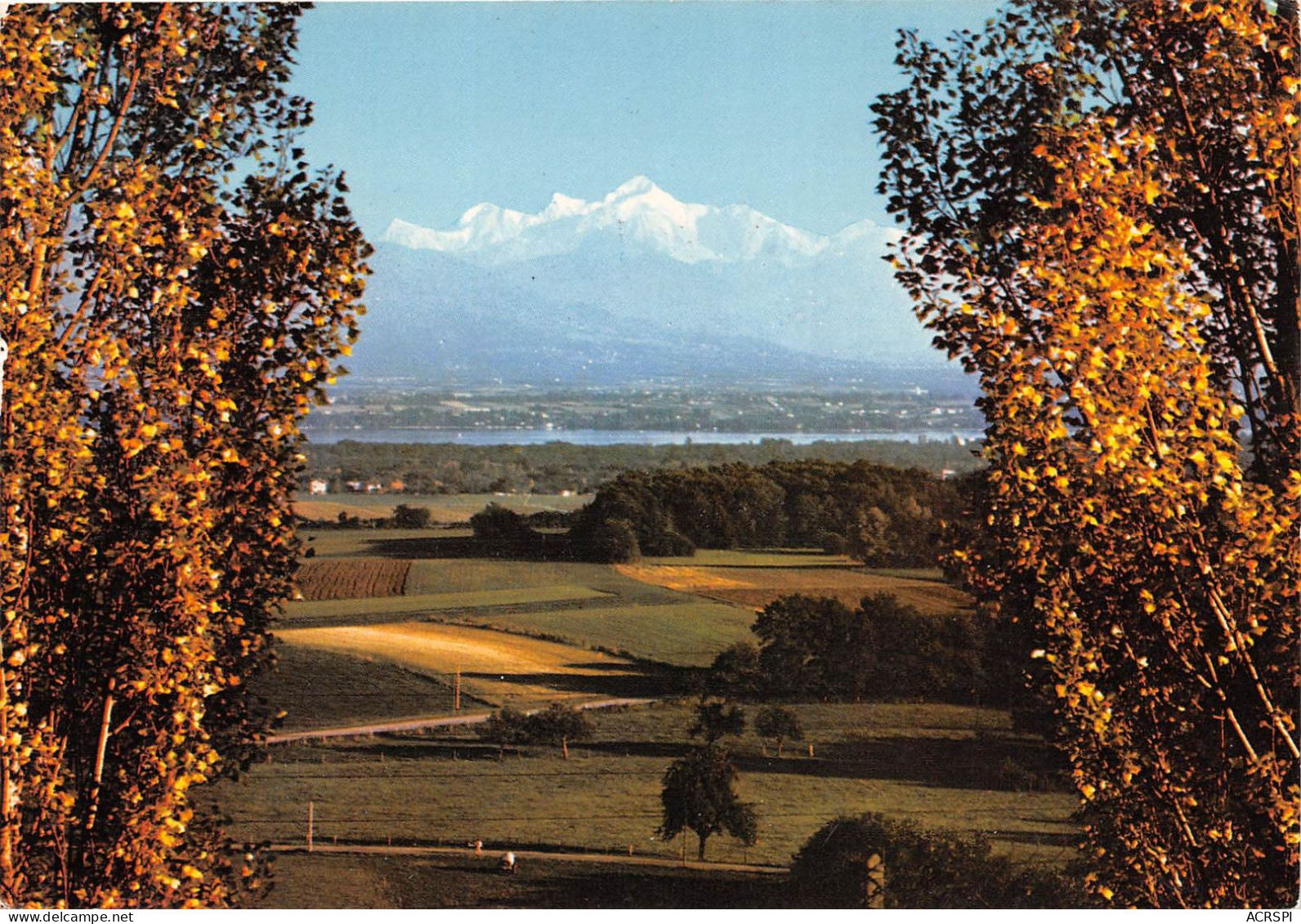 DIVONNE LES BAINS Le Lac Leman Et Le Mont Blanc Vus De Divonne 20(scan Recto-verso) MA2262 - Divonne Les Bains