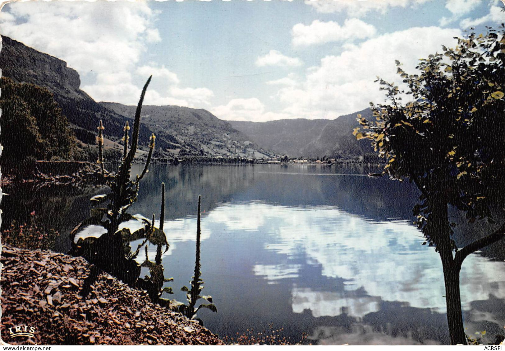 NANTUA Un Coin Du Lac 27(scan Recto-verso) MA2258 - Nantua