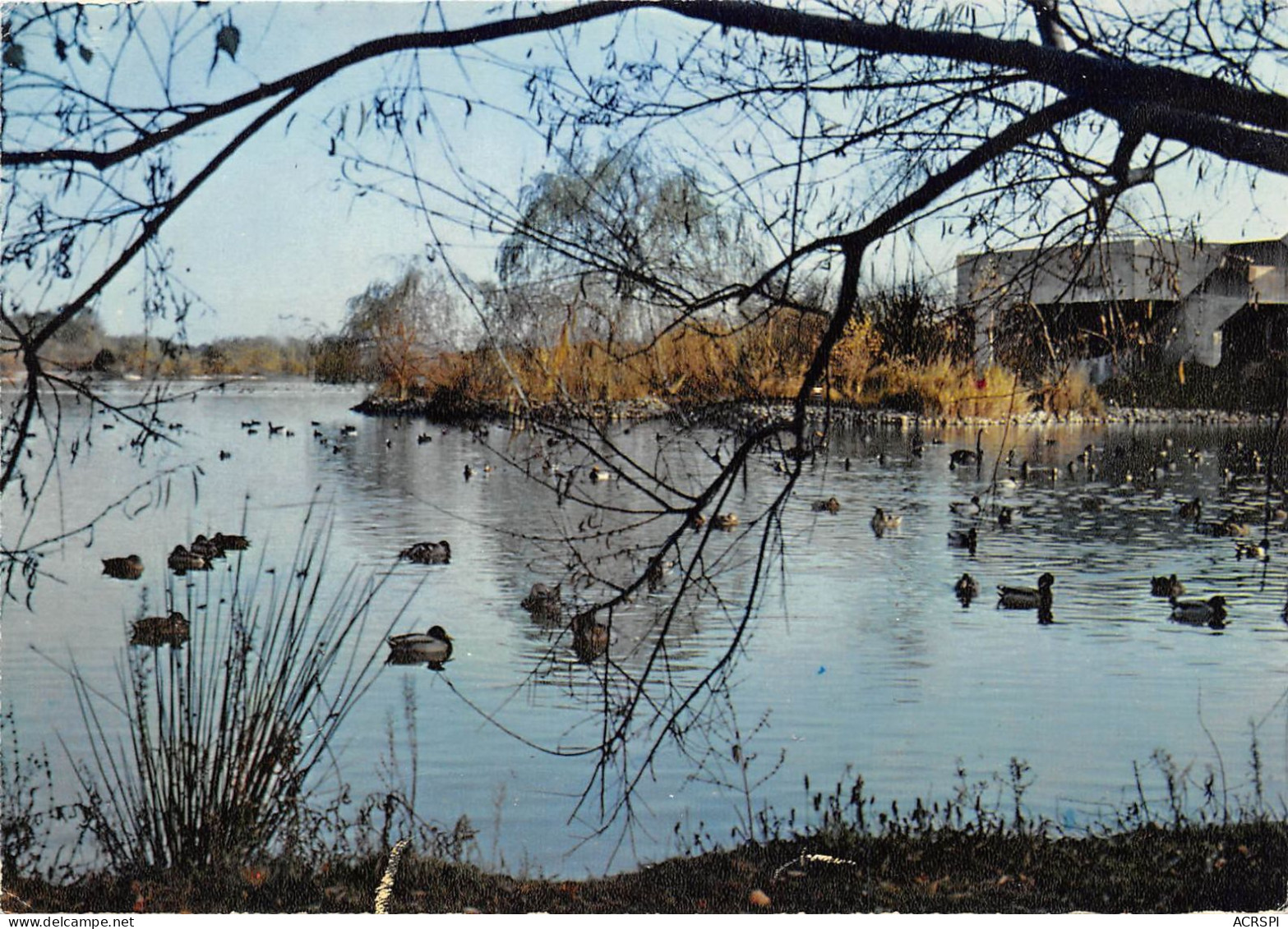 VILLARS LES DOMBES Le Grand Etang 8(scan Recto-verso) MA2256 - Villars-les-Dombes