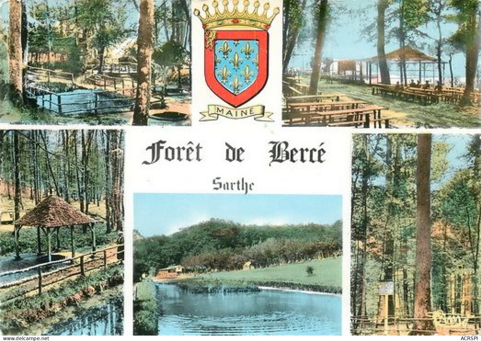 Foret De BERCE Jupilles Mayet Lavernat Beaumont-Pied-de-Bœuf Thoiré Chahaignes, Marigné 29   (scan Recto-verso)MA2271Ter - Beaumont Sur Sarthe