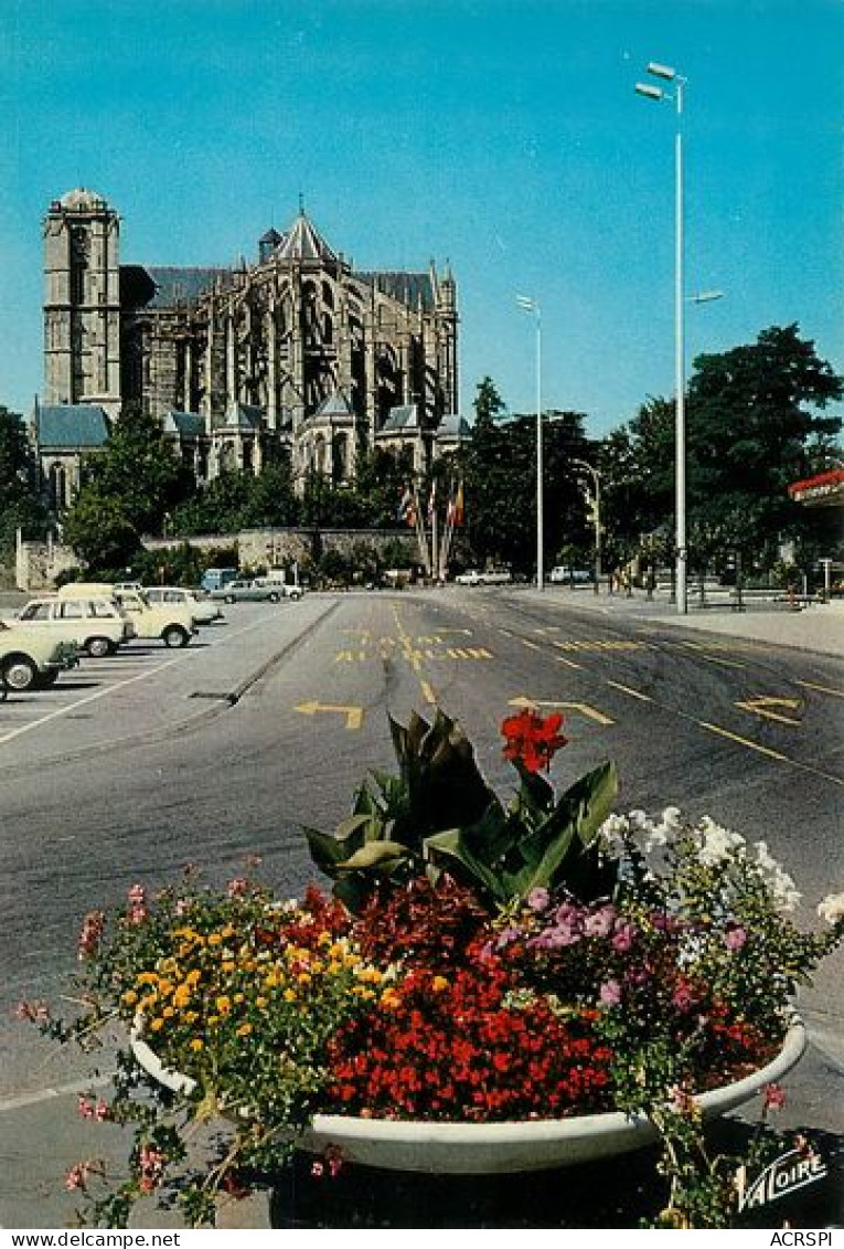 LE MANS   Place Des Jacobins  33  (scan Recto-verso)MA2271Bis - Le Mans