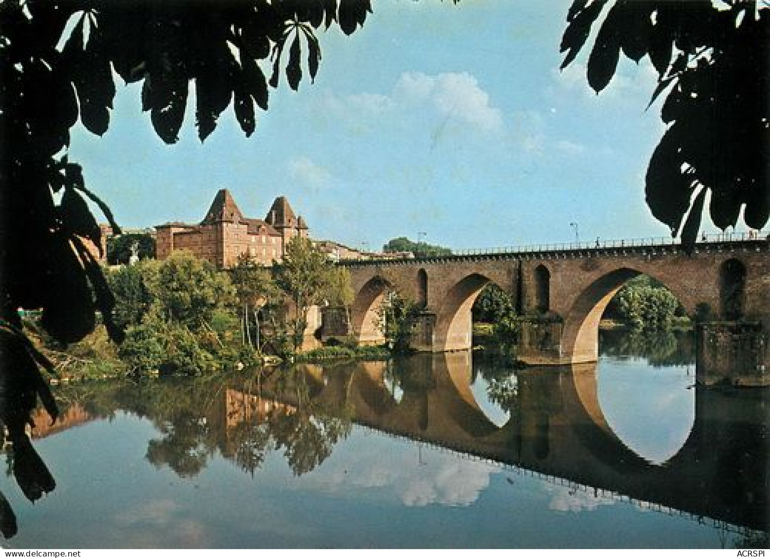 MONTAUBAN  Les Bords Du Tarn   12   (scan Recto-verso)MA2270Bis - Montauban