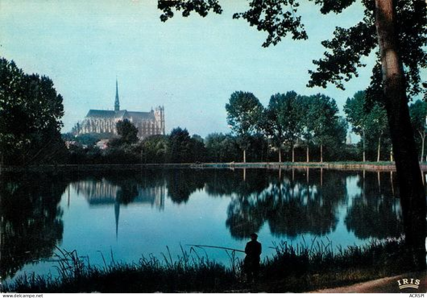 AMIENS  La Cathedrale Vue De L'étang De St PIERRE  31   (scan Recto-verso)MA2269Bis - Amiens