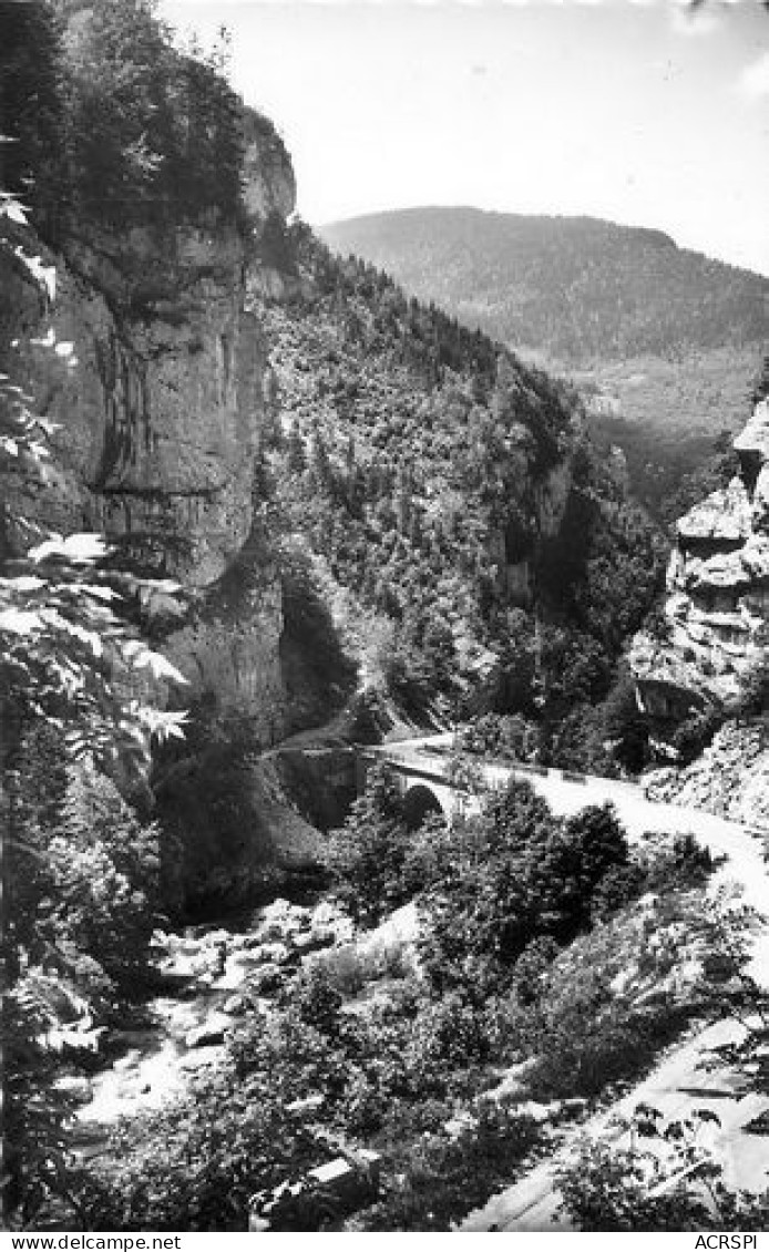 PONT EN ROYANS Route De Villard De LANS Gorges De La BOURNE  44  (scan Recto-verso)MA2268Ter - Pont-en-Royans