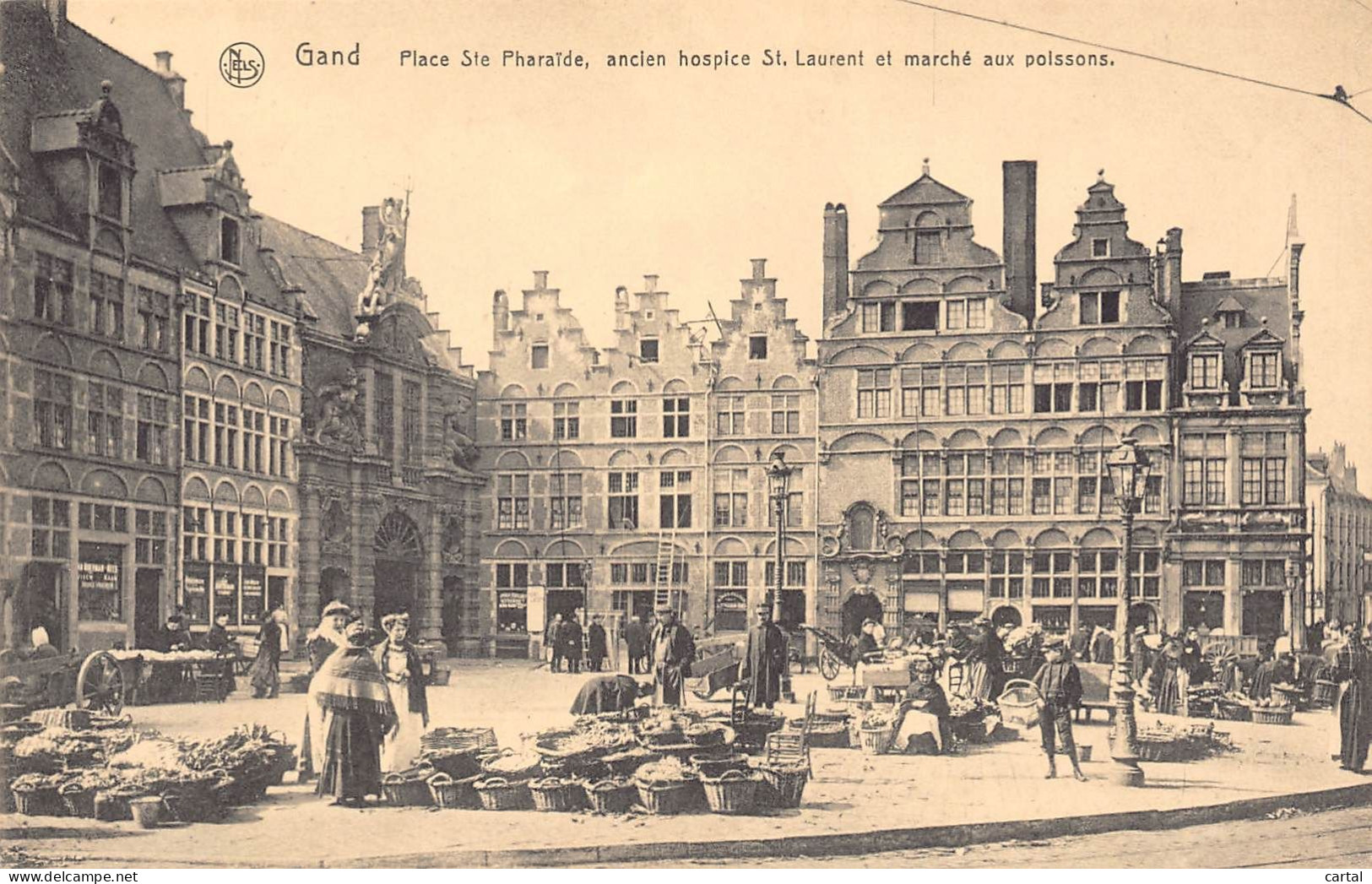 GAND - Place Ste Pharaïde, Ancien Hospice St. Laurent Et Marché Aux Poissons. - Gent