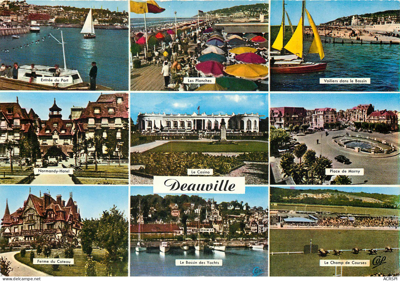 DEAUVILLE Plage Fleurie 24(scan Recto-verso) MB2391 - Deauville