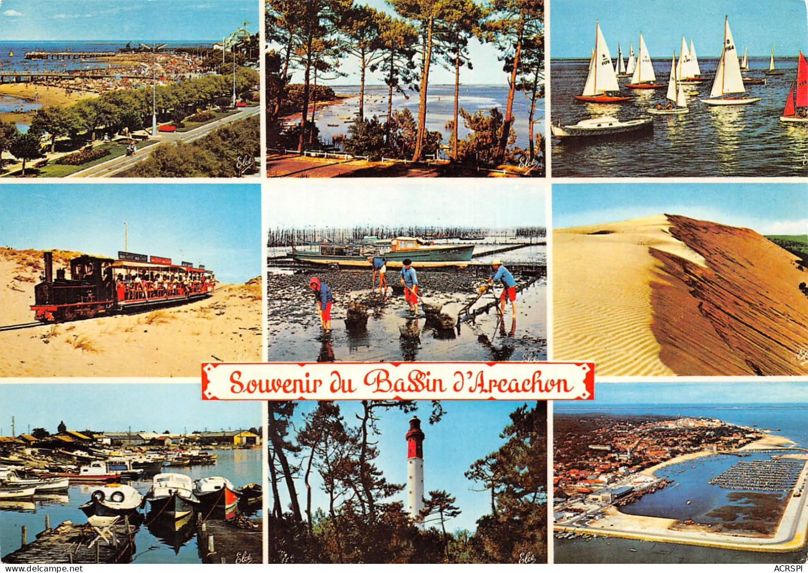 Bassin D' ARCACHON Souvenir  38 (scan Recto Verso)MA2274UND - Arcachon