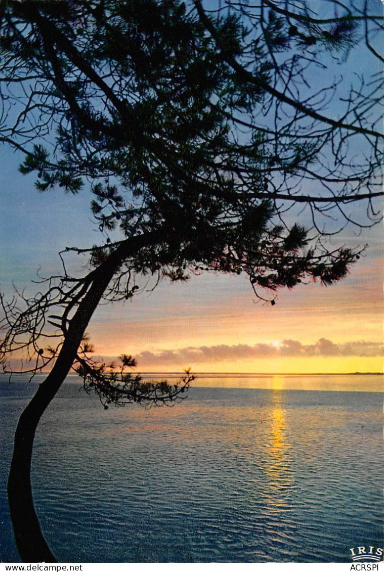 ARCACHON Le Bassin Au Couché Du Soleil  3 (scan Recto Verso)MA2274UND - Arcachon