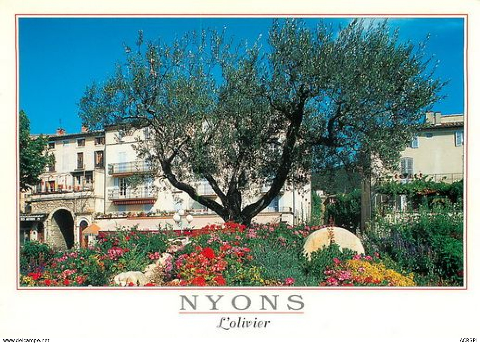 NYONS  L'Olivier De La Place De La Libération  22   (scan Recto-verso)MA2273Bis - Nyons