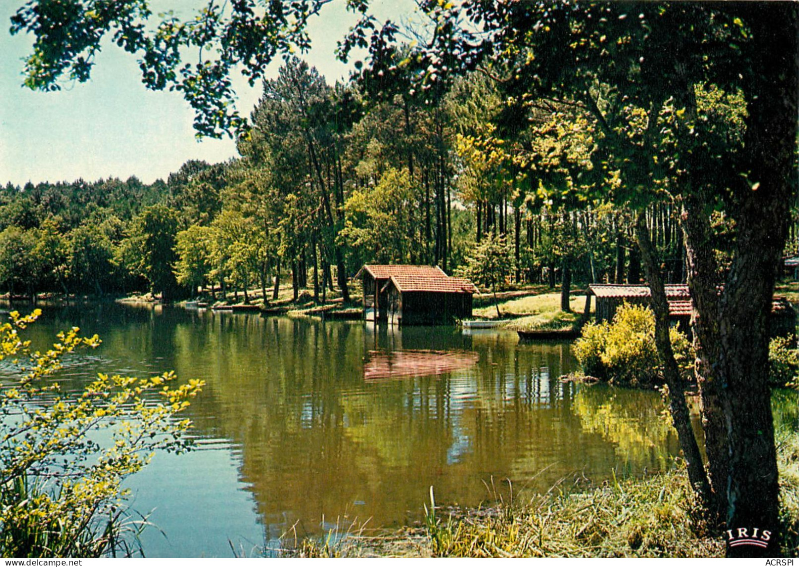 MIMIZAN Cabanes De Pecheurs Au Bord Du Lac  5 (scan Recto-verso)MA2281Bis - Mimizan Plage