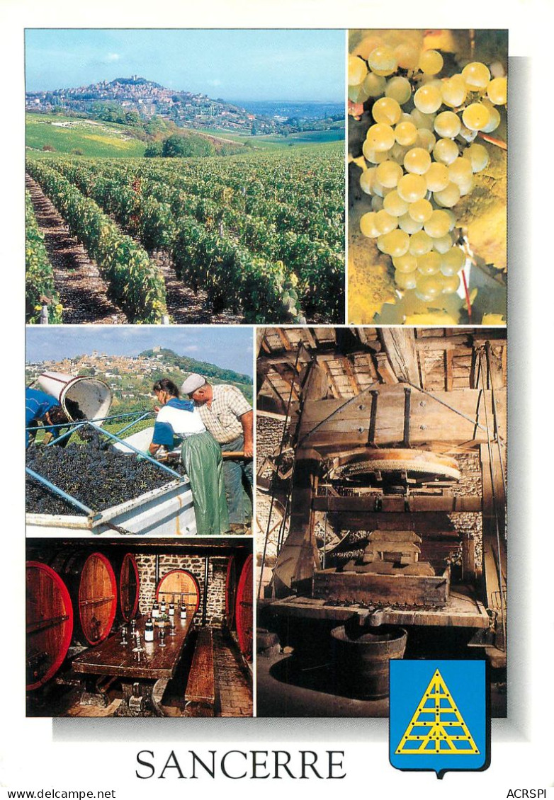 SANCERRE Vin Blanc Vin Rouge 8   (scan Recto-verso)MA2284Ter - Sancerre