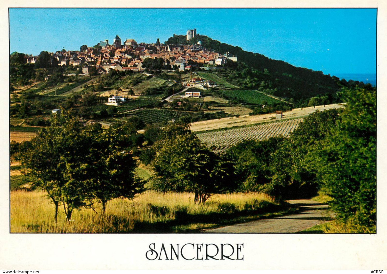 SANCERRE  La Colline Vue Du Vignoble  12   (scan Recto-verso)MA2284Ter - Sancerre