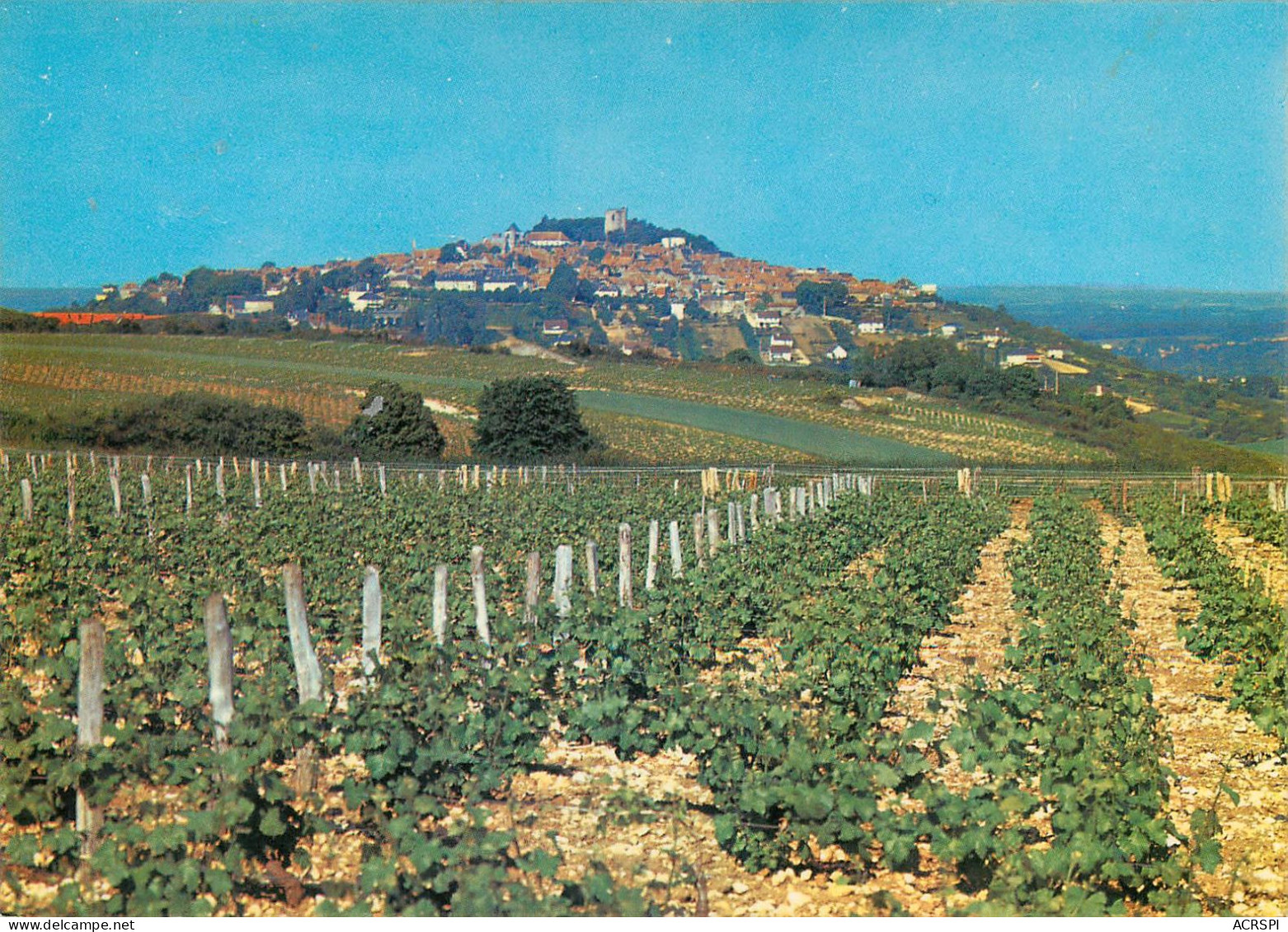 SANCERRE Vue Générale Sur Les Vignes  11   (scan Recto-verso)MA2284Ter - Sancerre