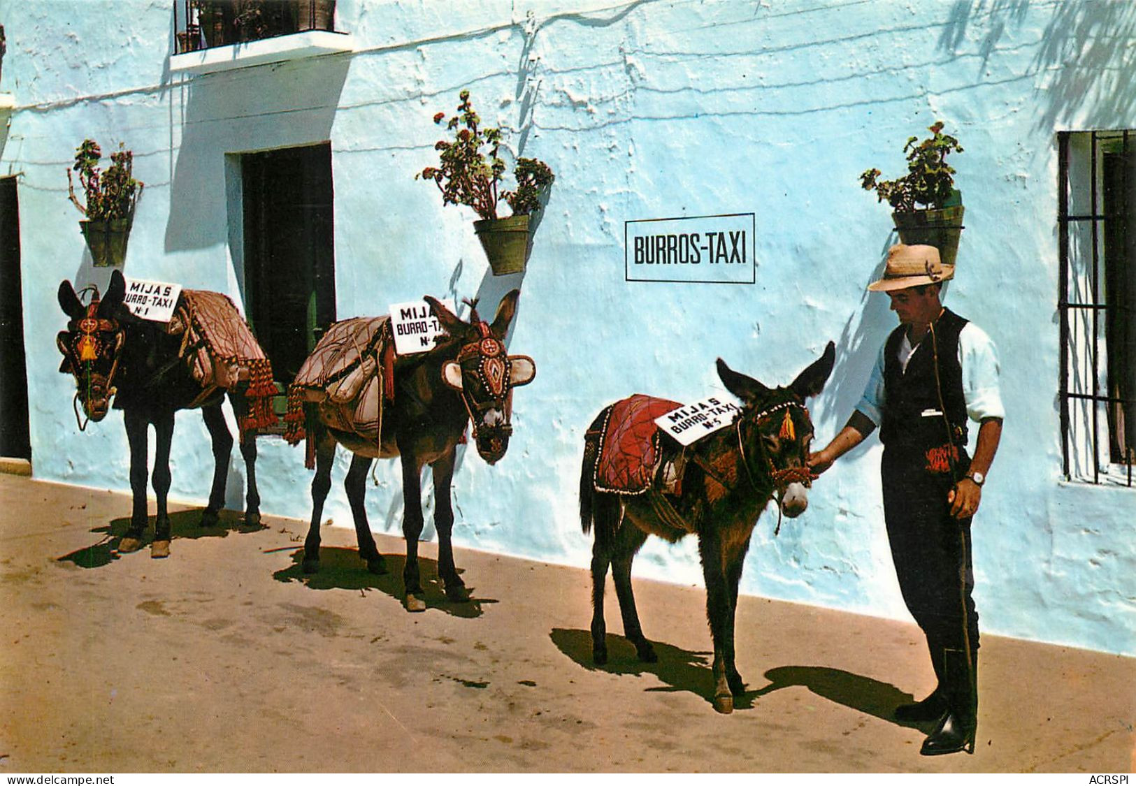 COSTA DEL SOL Andalousia MIJAS Parada De Burros TAXI  38 (scan Recto-verso)MA2283Ter - Autres & Non Classés