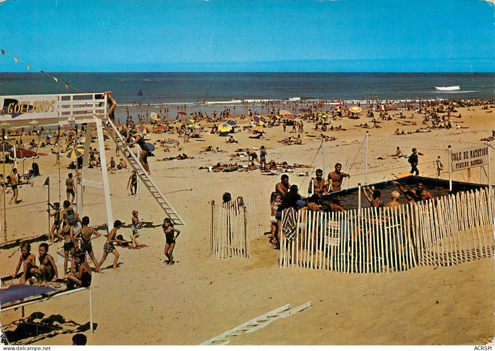 HOSSEGOR  Les GOELANDS  Club De Natation Sur La Plage   33 (scan Recto-verso)MA2283Ter - Hossegor