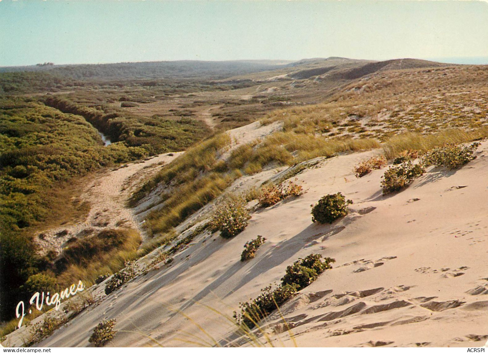 Dune Des Landes Ondres  34   (scan Recto-verso)MA2281Ter - Vieux Boucau