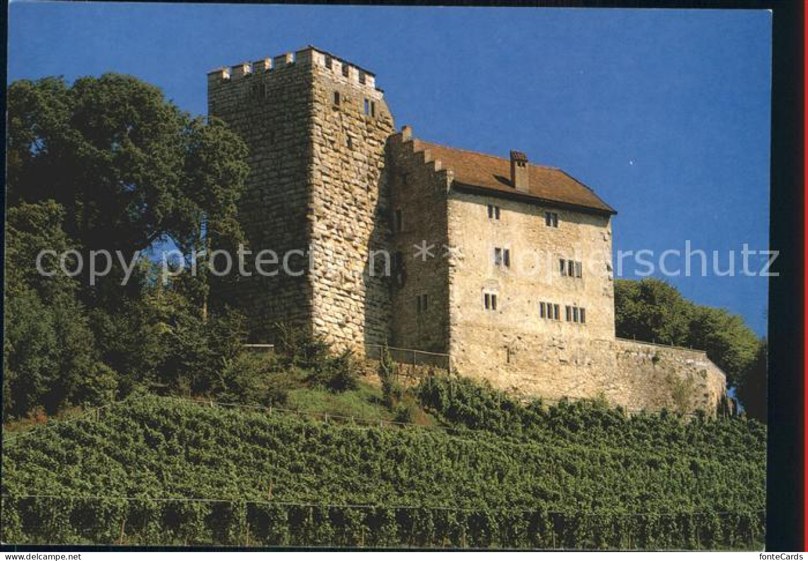 12249281 Brugg AG Schloss Restaurant Habsburg Brugg AG - Autres & Non Classés