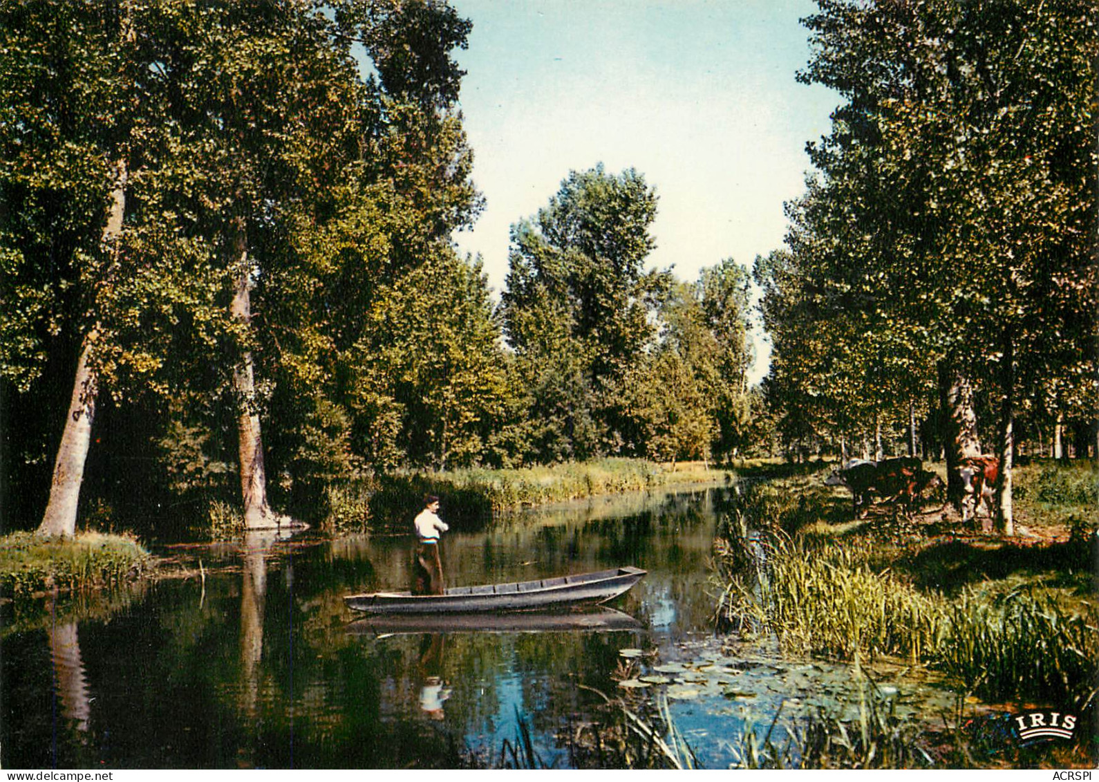 Les  DEUX SEVRES 79  De Coulon à La Garette La Route D'eau Marais Poitevin   36 (scan Recto-verso)MA2286Ter - Niort