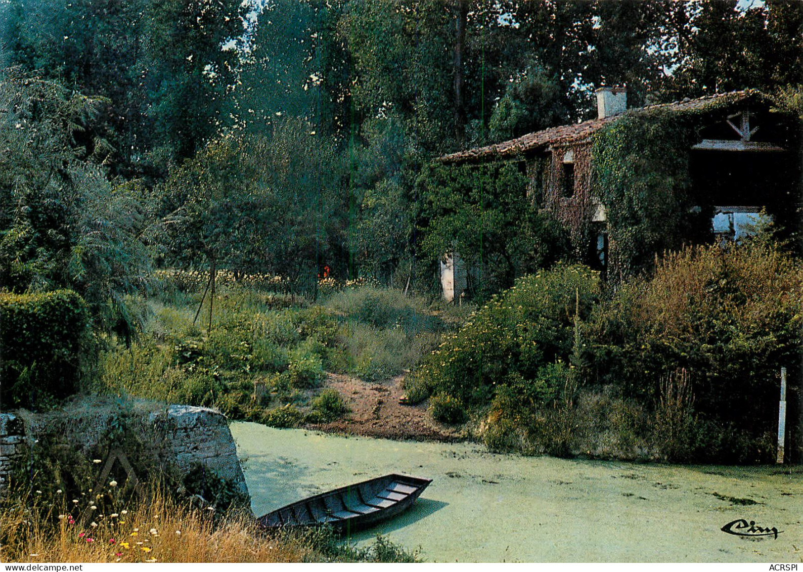 ARCAIS Maison Au Bord D'une Conche  DEUX SEVRES 79 Marais Poitevin   46 (scan Recto-verso)MA2286Ter - Niort