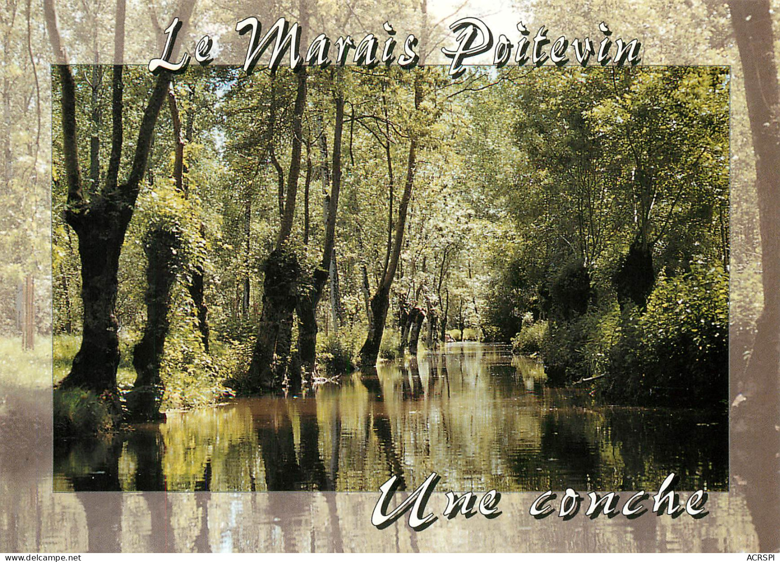 Venise Verte Une Conche DEUX SEVRES 79 Marais Poitevin  53 (scan Recto-verso)MA2286Ter - Niort